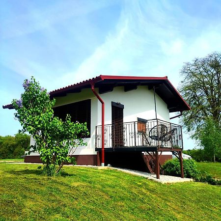 Apartma Kapelski Fant Sveti Jurij ob Scavnici Exteriör bild