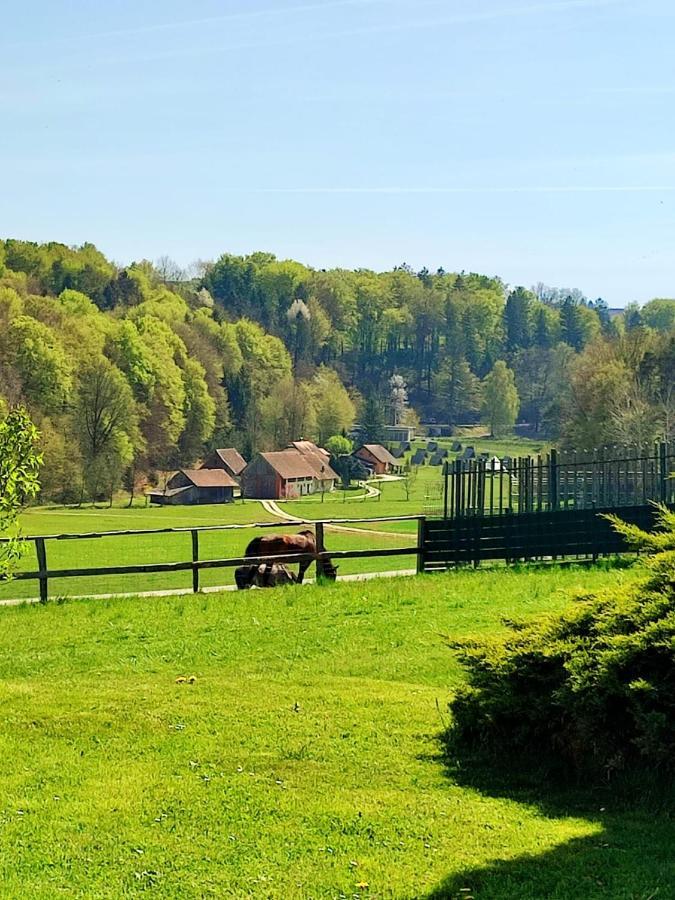 Apartma Kapelski Fant Lägenhet Sveti Jurij ob Scavnici Exteriör bild